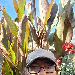 ������, ������, 40 ���