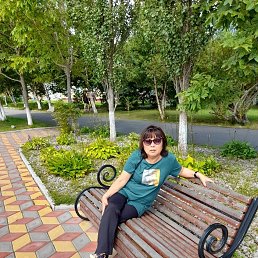 ���� ��������, ���������, 66 ��� - ��������� 31 ������� 2023