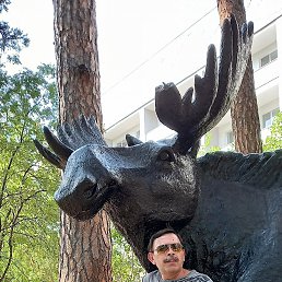 ���� ������, ������������, 56 ��� - ��������� 2 ������ 2026