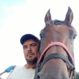 , 39 , 