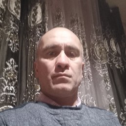 ���� ����, �����-���������, 46 ��� - ��������� 8 ������ 2026