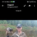 ���� ������, �����, 36 ��� - ��������� 2 ������ 2026