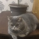 ���� �������, ������, 41 ��� - ��������� 4 ������ 2023