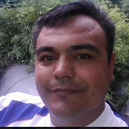 ������, ������, 49 ���