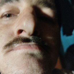 �������, 33 ����, ����������