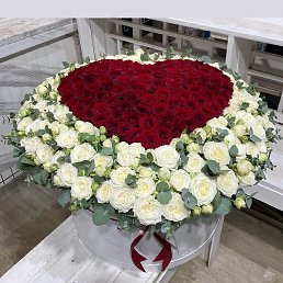 Elgun, ������, 20 ���