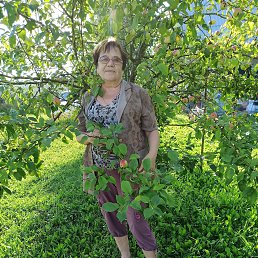 ���� ����, ������� �����, 63 ���� - ��������� 30 ������� 2024