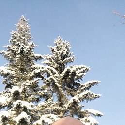 �������, 45 ���, ���������