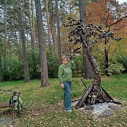 �������, �����������, 64 ����