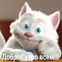 ���� �������, ������, 45 ��� - ��������� 11 ������� 2024 � ������ ���� ����������