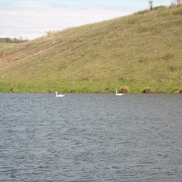 ���� ����, ������, 37 ��� - ��������� 25 ������ 2023