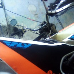 ����, ������, 38 ���