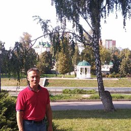 , 61, 