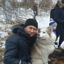 ���� ��������, ����������, 52 ���� - ��������� 19 ������ 2025