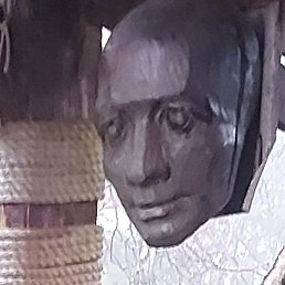 ������, ����, 43 ����