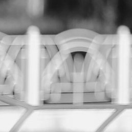 ��������, �������, 39 ���