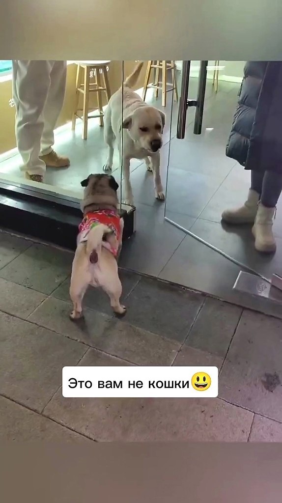      ? - 2
