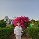 ���� �����, ����, 52 ���� - ��������� 8 ����� 2025 � ������ ���� ����������