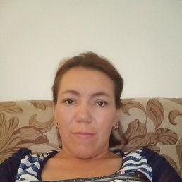 , 26, 