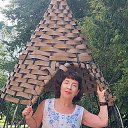 ���� ����, ��������� - ��������� 29 �������� 2025 � ������ ���� ����������