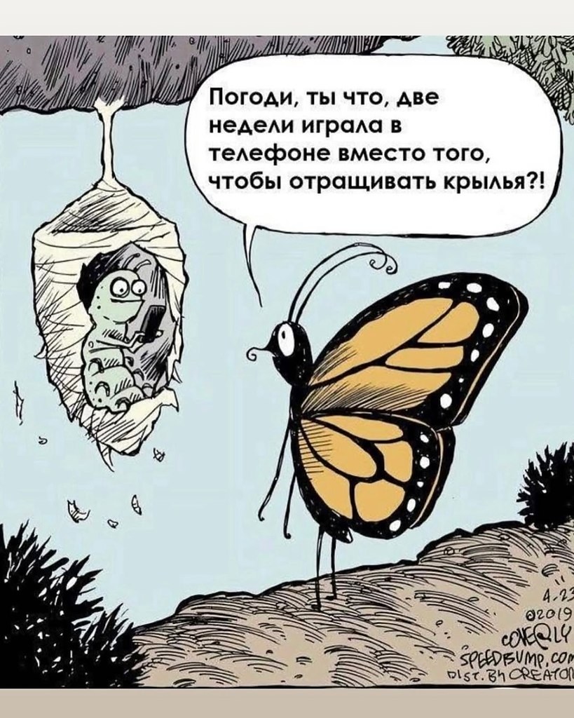 ���� ��� ���� - 25 ���� 2025 � 21:23 - 9
