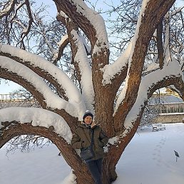 ��������, �����-���������, 42 ����