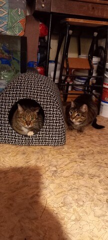 ���� ������, �����, 61 ��� - ��������� 31 ������� 2023