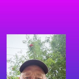 , 39, 
