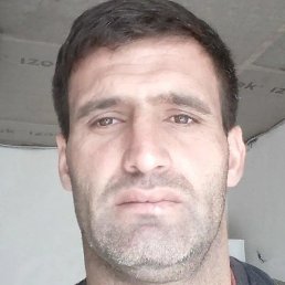 Sultan, �����������, 44 ����