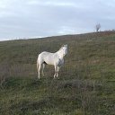 ���� ����, ������, 25 ��� - ��������� 8 ������ 2025 � ������ ���� ����������