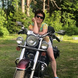 �������, ������, 37 ���