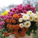 ���� ������, ������, 74 ���� - ��������� 1 �������� 2025 � ������ ������ ��������