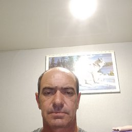 , 46 , 