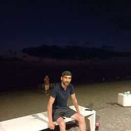 Hamlet, ������, 33 ����