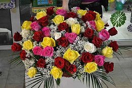 �����������