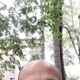 �����, 50 ���, ������