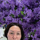 ���� �����-�, ������, 45 ��� - ��������� 7 ������� 2025 � ������ ���� ����������