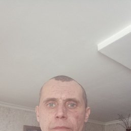 , 40, 