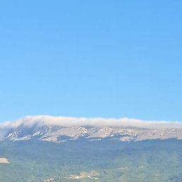 � , �����������, 59 ���