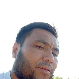 ���� �����, �����������, 35 ��� - ��������� 18 ��� 2025