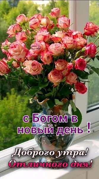 ***Victoria Viktorovna*** - 29  2025  03:21 - 2