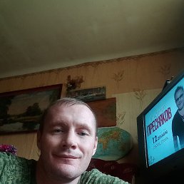 , 41, 