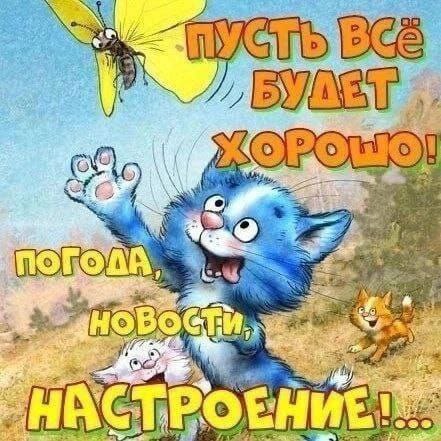   - 9  2025  11:09