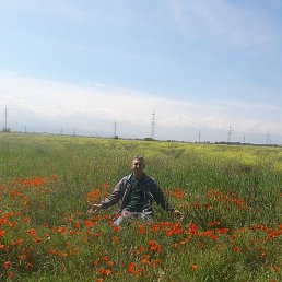 �����, ������, 58 ���