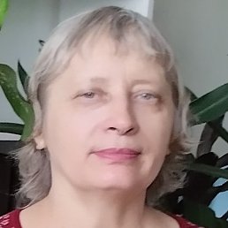 ���������, ������, 66 ���