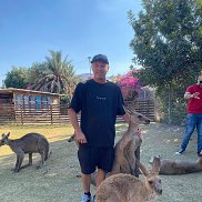 �����, 47 ���, �����������