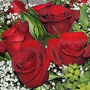 ���� ���������, �������-��������� - ��������� 24 ������ 2025 � ������ ������� ����������