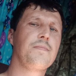 ������, ���������, 37 ���