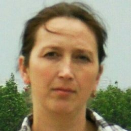 ��������, ������, 50 ���