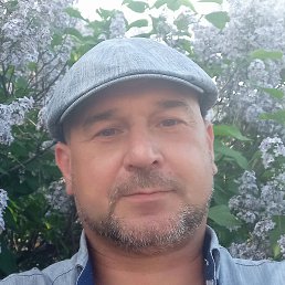 �����, �������, 51 ���